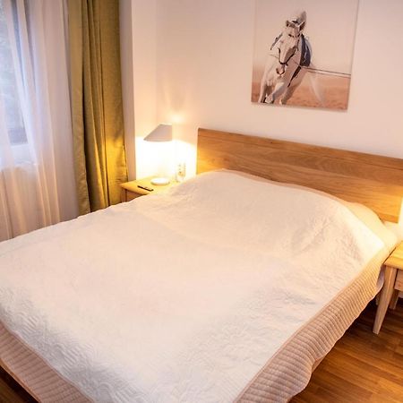 Classic Apartment Near The City Center Cluj-Napoca Luaran gambar