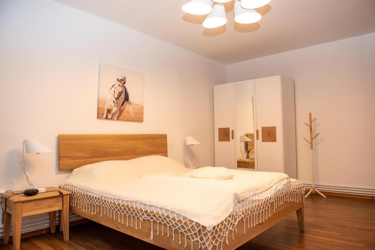 Classic Apartment Near The City Center Cluj-Napoca Luaran gambar