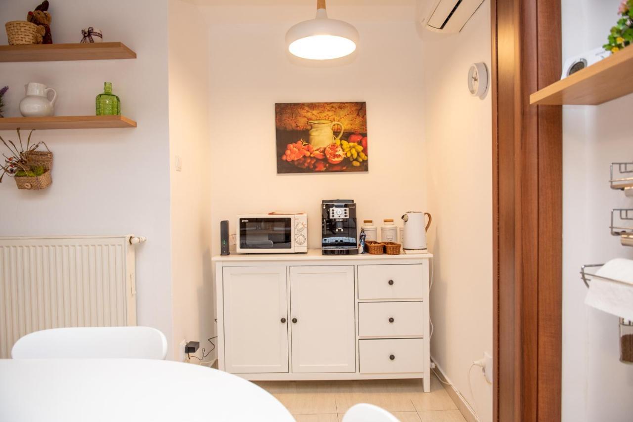 Classic Apartment Near The City Center Cluj-Napoca Luaran gambar
