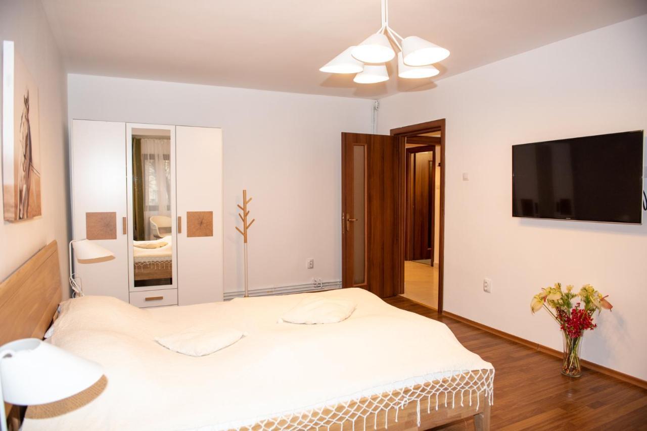 Classic Apartment Near The City Center Cluj-Napoca Luaran gambar