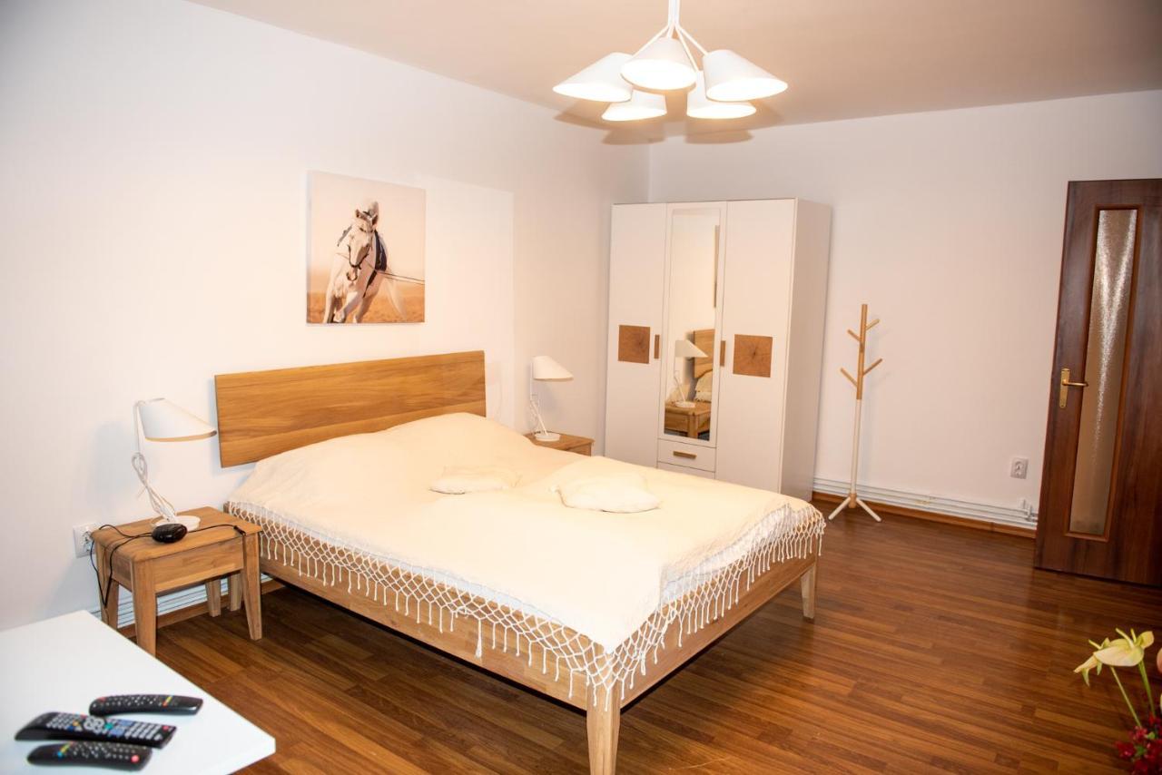 Classic Apartment Near The City Center Cluj-Napoca Luaran gambar